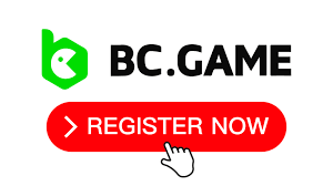 The Ultimate Guide to BC App Download